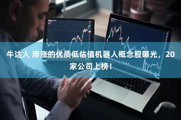 牛达人 滞涨的优质低估值机器人概念股曝光，20家公司上榜！