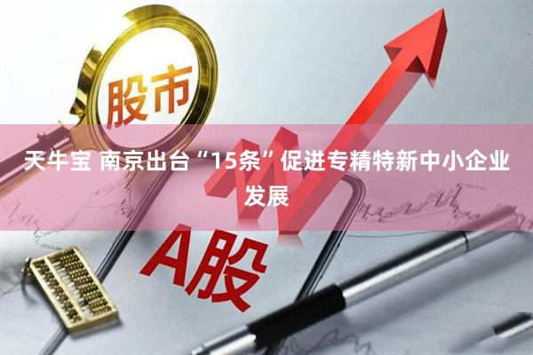 天牛宝 南京出台“15条”促进专精特新中小企业发展